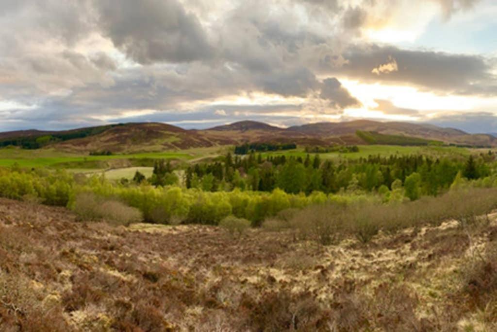 Blairgowrie and Rattray Blairbeg Cottage מראה חיצוני תמונה